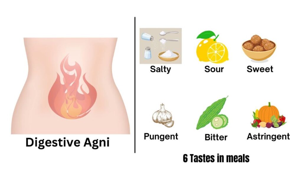 Agni & Significance of the six tastes in meals- Ayurvedic Tips